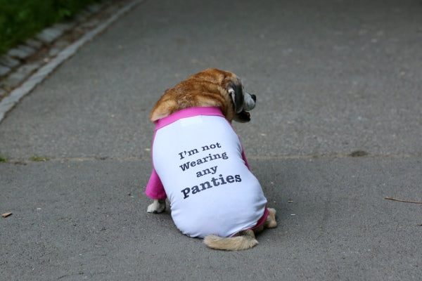 Dog's "I'm Not Wearing Any Panties" Tee